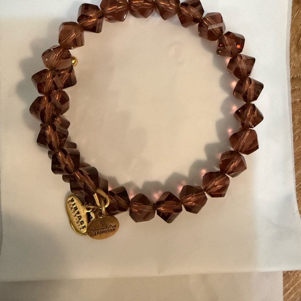 Alex and Ani Brown Crystal Bracelet with Gold Charms